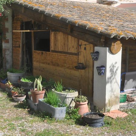 La Ferme De Tonton Jules 2 Hotel Entraigues-sur-la-Sorgue Екстериор снимка